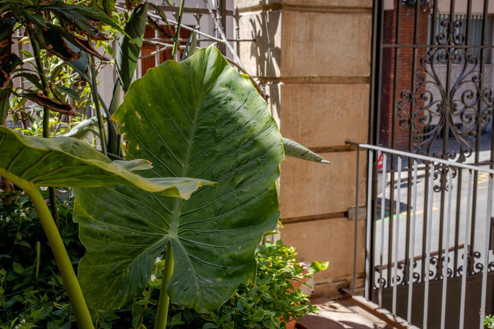 Verdi 254 Barcelona Ngoại thất bức ảnh